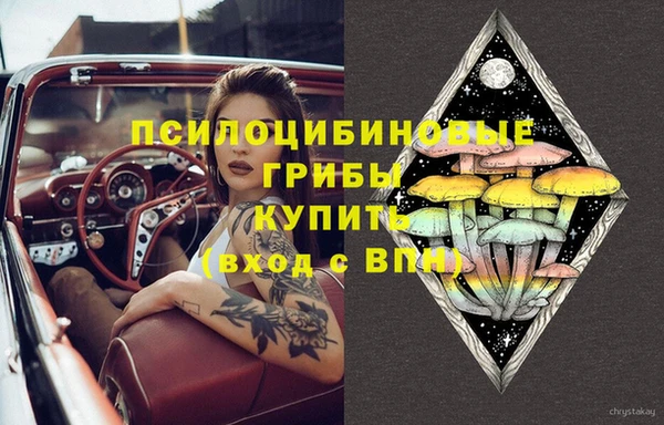 PSILOCYBIN Волосово